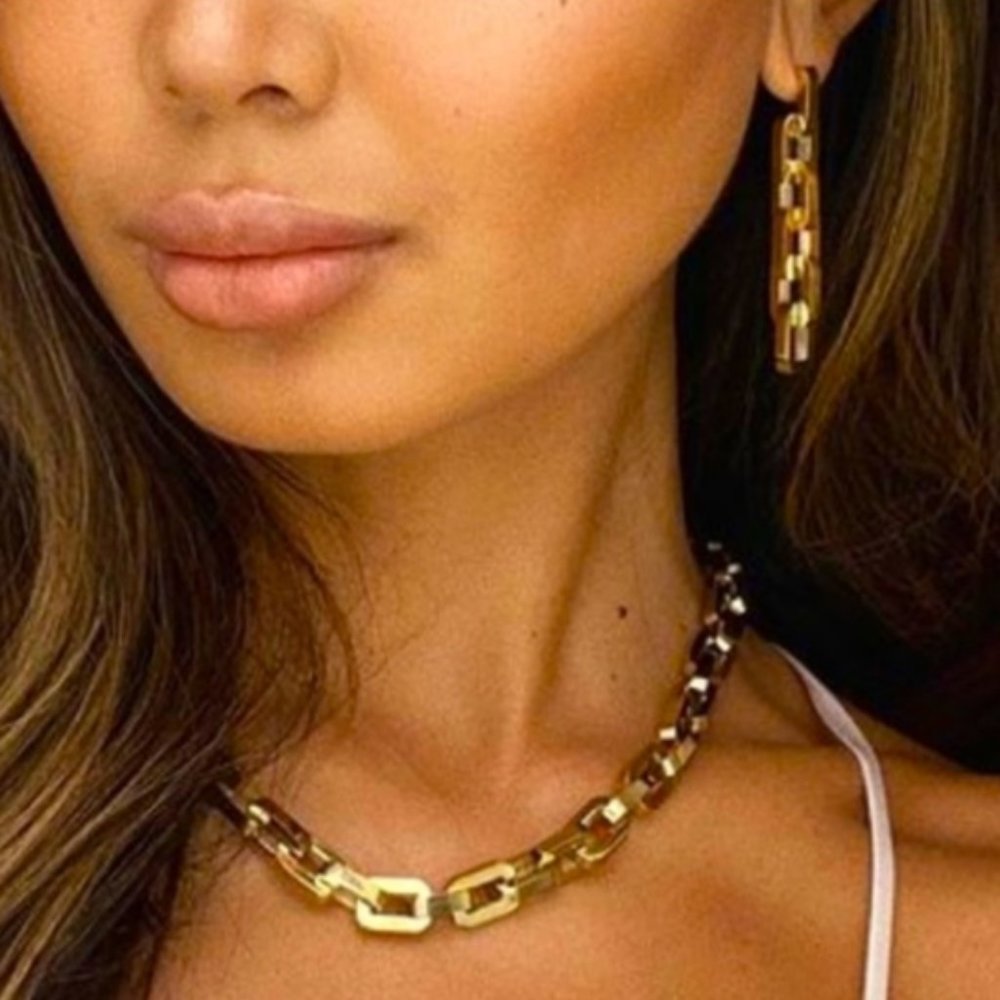 Brandnew Eddie Borgo Supra link necklace earrings